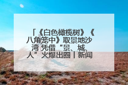 《白色橄榄树》《八角笼中》取景地沙湾 凭借“景、城、人”火爆出圈丨新闻发布最前线