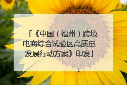 《中国（福州）跨境电商综合试验区高质量发展行动方案》印发