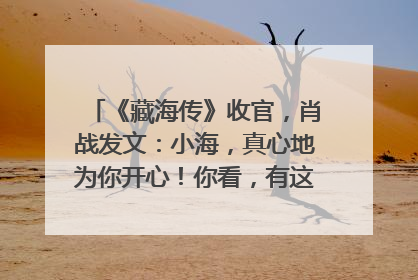 《藏海传》收官，肖战发文：小海，真心地为你开心！你看，有这么多人懂你！