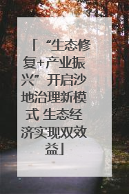 “生态修复+产业振兴”开启沙地治理新模式 生态经济实现双效益