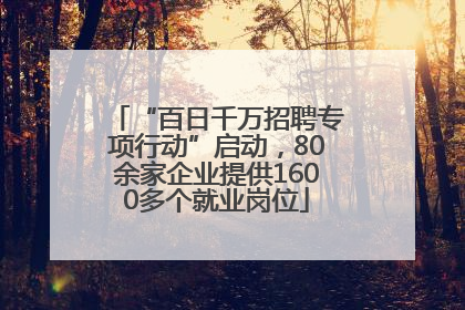 “百日千万招聘专项行动”启动，80余家企业提供1600多个就业岗位