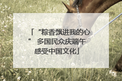 “粽香飘进我的心” 多国民众庆端午感受中国文化