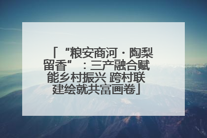 “粮安商河・陶梨留香”：三产融合赋能乡村振兴 跨村联建绘就共富画卷