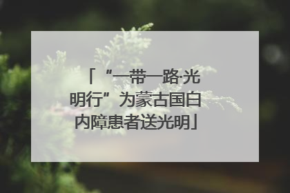 “一带一路·光明行”为蒙古国白内障患者送光明