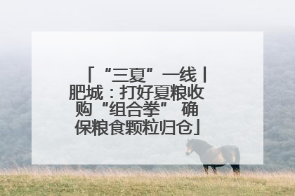 “三夏”一线丨肥城：打好夏粮收购“组合拳” 确保粮食颗粒归仓