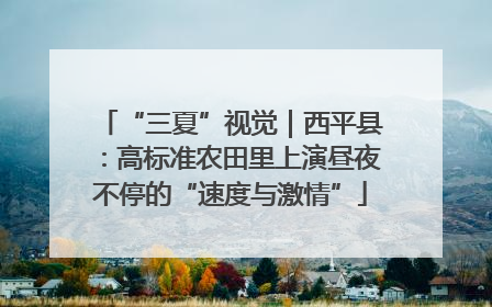 “三夏”视觉｜西平县：高标准农田里上演昼夜不停的“速度与激情”