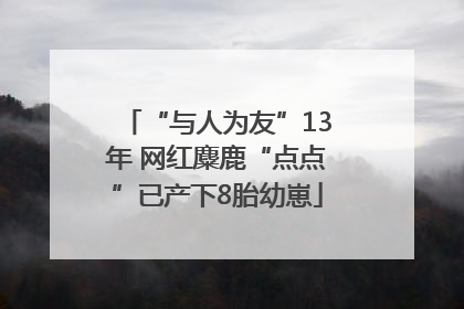 “与人为友”13年 网红麋鹿“点点”已产下8胎幼崽