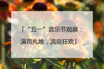 “五一”音乐节观察：演员扎堆，流量狂欢