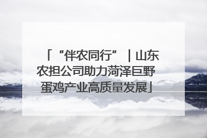 “伴农同行”｜山东农担公司助力菏泽巨野蛋鸡产业高质量发展