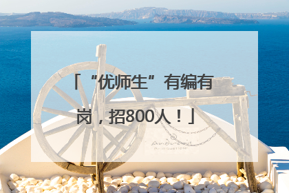 “优师生”有编有岗，招800人！