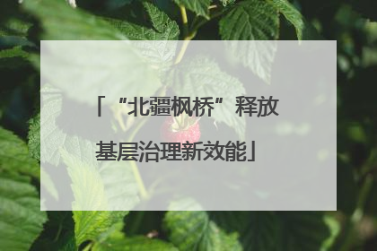 “北疆枫桥”释放基层治理新效能