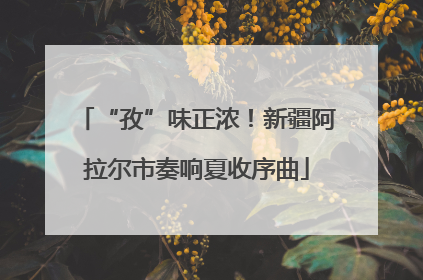 “孜”味正浓！新疆阿拉尔市奏响夏收序曲