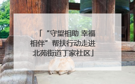 “守望相助 幸福相伴”帮扶行动走进北苑街道丁家社区