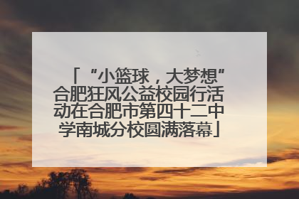 “小篮球，大梦想”合肥狂风公益校园行活动在合肥市第四十二中学南城分校圆满落幕