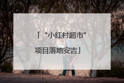 “小红村超市”项目落地安吉