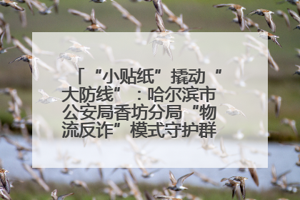 “小贴纸”撬动“大防线”：哈尔滨市公安局香坊分局“物流反诈”模式守护群众“钱袋子”