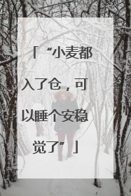 “小麦都入了仓，可以睡个安稳觉了”