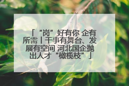 “岗”好有你 企有所需丨干事有舞台、发展有空间 河北国企抛出人才“橄榄枝”