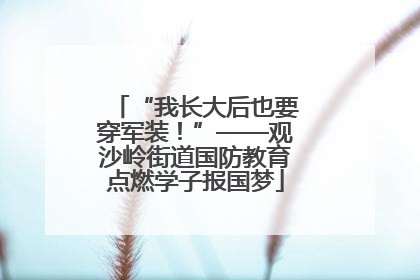 “我长大后也要穿军装！”——观沙岭街道国防教育点燃学子报国梦