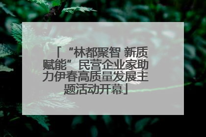 “林都聚智 新质赋能”民营企业家助力伊春高质量发展主题活动开幕