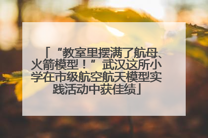 “教室里摆满了航母、火箭模型！”武汉这所小学在市级航空航天模型实践活动中获佳绩