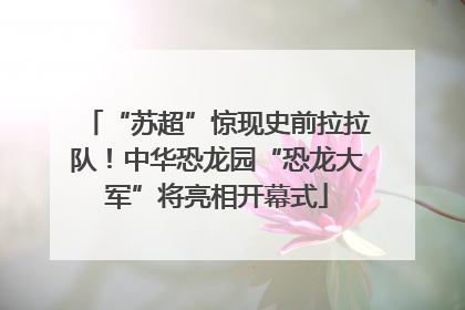 “苏超”惊现史前拉拉队！中华恐龙园“恐龙大军”将亮相开幕式