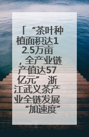 “茶叶种植面积达12.5万亩，全产业链产值达57亿元” 浙江武义茶产业全链发展“加速度”