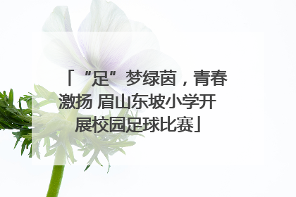 “足”梦绿茵，青春激扬 眉山东坡小学开展校园足球比赛