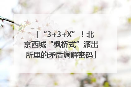 “3+3+X”！北京西城“枫桥式”派出所里的矛盾调解密码
