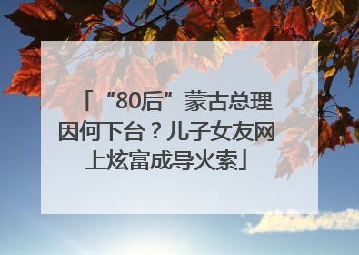 “80后”蒙古总理因何下台？儿子女友网上炫富成导火索