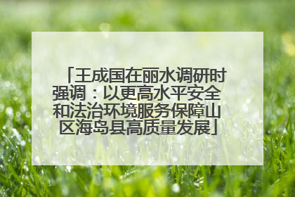 王成国在丽水调研时强调：以更高水平安全和法治环境服务保障山区海岛县高质量发展