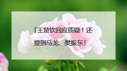 王楚钦回应质疑！还提到马龙、樊振东