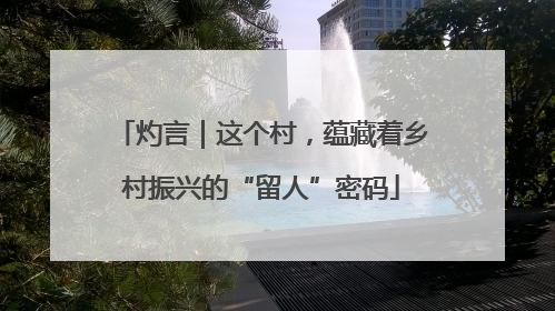灼言｜这个村，蕴藏着乡村振兴的“留人”密码