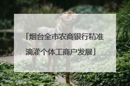 烟台全市农商银行精准滴灌个体工商户发展