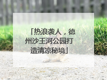 热浪袭人，德州沙王河公园打造清凉秘境