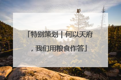 特别策划｜何以天府，我们用粮食作答
