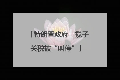 特朗普政府一揽子关税被“叫停”