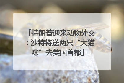 特朗普迎来动物外交：沙特将送两只“大猫咪”去美国首都