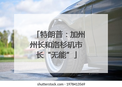 特朗普：加州州长和洛杉矶市长“无能”