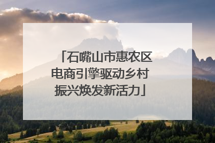 石嘴山市惠农区电商引擎驱动乡村振兴焕发新活力