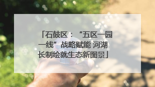 石鼓区：“五区一园一线”战略赋能 河湖长制绘就生态新图景