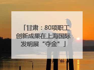 甘肃：80项职工创新成果在上海国际发明展“夺金”