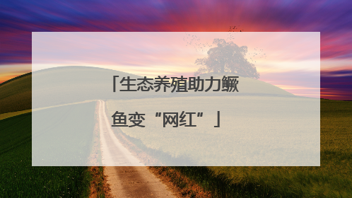 生态养殖助力鳜鱼变“网红”