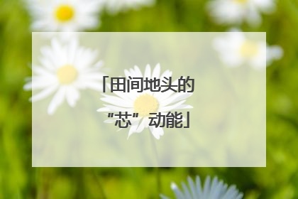 田间地头的“芯”动能