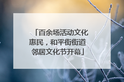 百余场活动文化惠民，和平街街道邻居文化节开幕