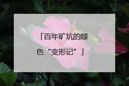 百年矿坑的绿色“变形记”