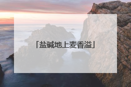 盐碱地上麦香溢