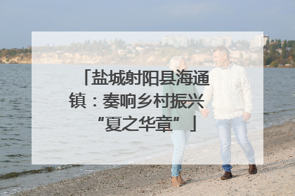盐城射阳县海通镇：奏响乡村振兴“夏之华章”