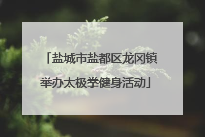盐城市盐都区龙冈镇举办太极拳健身活动