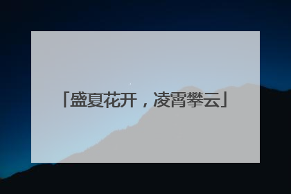 盛夏花开，凌霄攀云